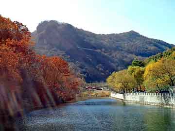 澳门天天开奖免费资料，石家庄岩棉保温板